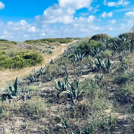 El Papagayo 2 Mins Walking To The 公寓