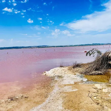 El Papagayo 2 Mins Walking To The Apartment Torrevieja